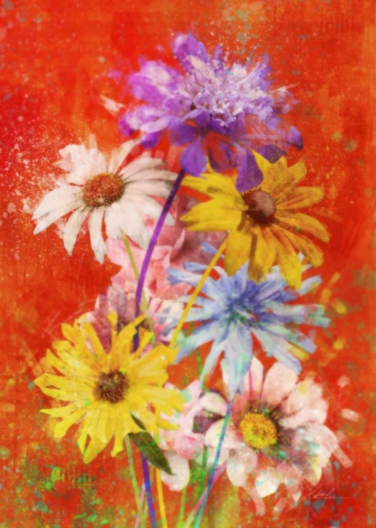 Picture of VIBRANT POSIES 2