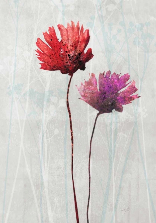 Picture of BLUSH BLOOMS 1