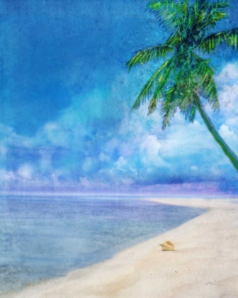 Picture of PALM BEACH AND SHELL