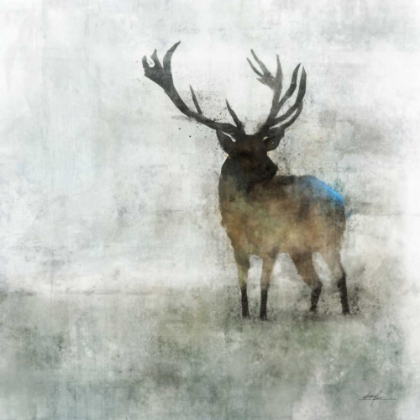 Picture of SILENT STAG