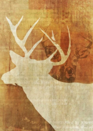 Picture of WHITETAIL DEER