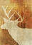 Picture of WHITETAIL DEER