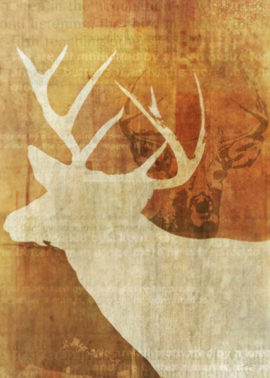 Picture of WHITETAIL DEER