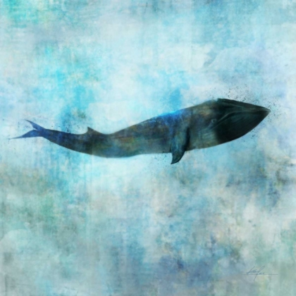 Picture of OCEAN WHALE 1