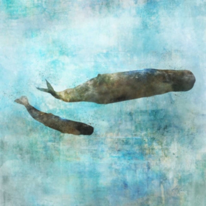 Picture of OCEAN WHALE 2