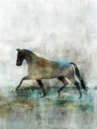 Picture of LONESTAR 1