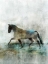 Picture of LONESTAR 1