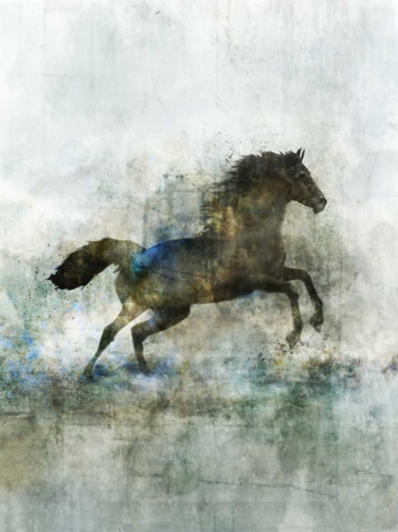 Picture of LONESTAR 2