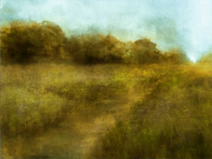 Picture of DOWNTON WALK 1