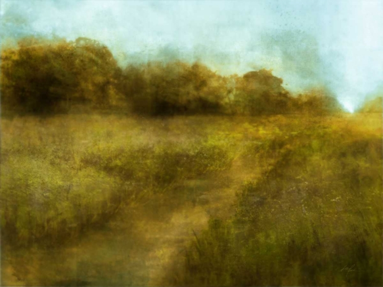 Picture of DOWNTON WALK 1