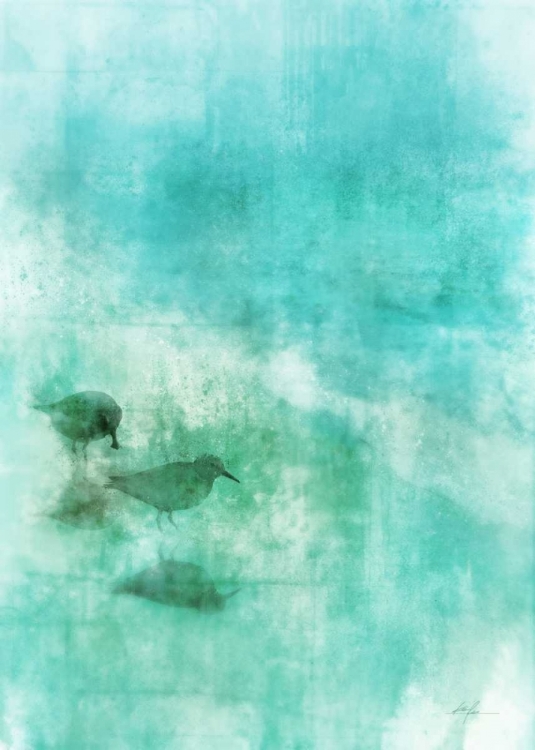 Picture of SEASHORE STROLL 1