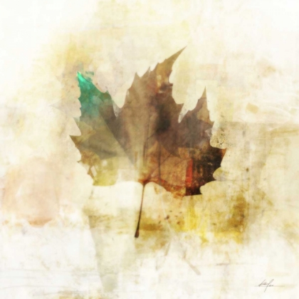 Picture of FALLING MAPLE LEAF 1