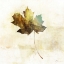 Picture of FALLING MAPLE LEAF 2