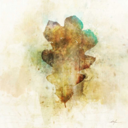 Picture of FALLING OAK LEAF