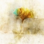 Picture of FALLING GINKO LEAF