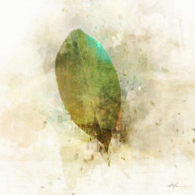 Picture of FALLING BIRCH LEAF