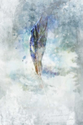 Picture of CELESTIAL FEATHER 2