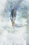 Picture of CELESTIAL FEATHER 2