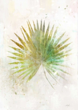 Picture of TEXTURED FAN PALM