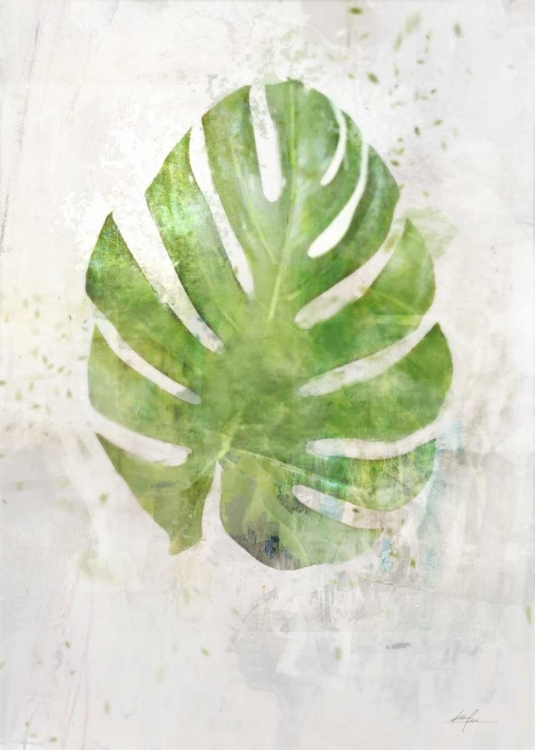 Picture of TEXTURED SPLIT LEAF PALM