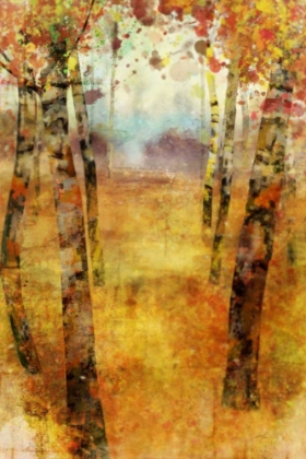 Picture of SPLASHES OF FALL