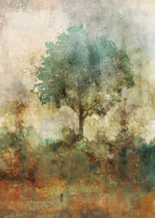 Picture of SHADY TREE