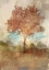 Picture of SUN DAPPLED TREE