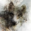 Picture of WOLF CALL