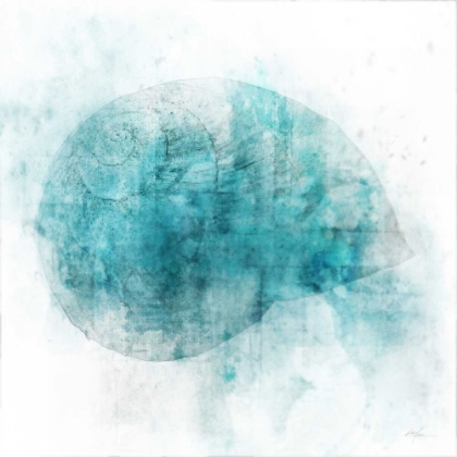 Picture of COASTAL MIST SHELL