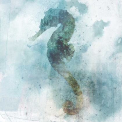 Picture of COATAL MIST SEAHORSE