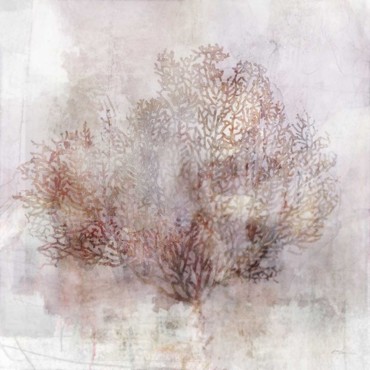 Picture of COASTAL MIST SEA FAN