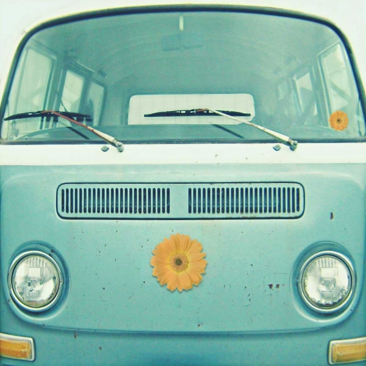 Picture of BLUE VW VAN