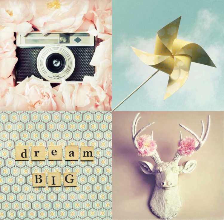 Picture of DREAM BIG