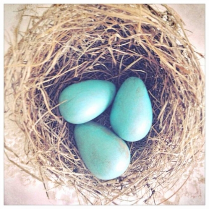 Picture of BEGINNINGS