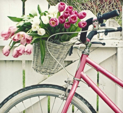 Picture of BASKET OF TULIPS
