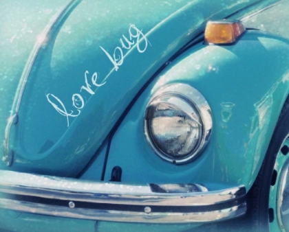 Picture of LOVE BUG BLUE