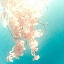 Picture of POLAROID PINK 2