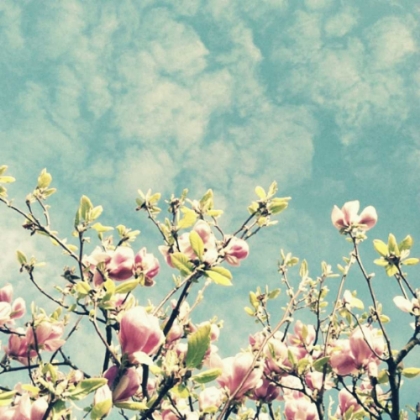 Picture of REACH OUT