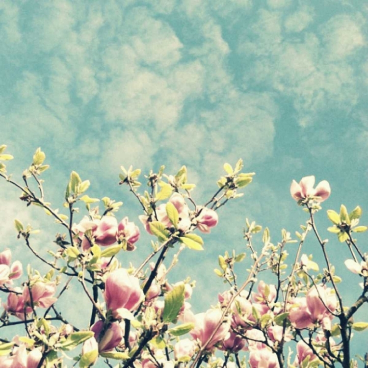 Picture of REACH OUT