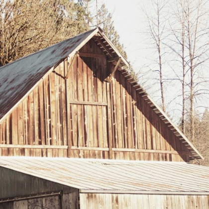 Picture of WEATHERED