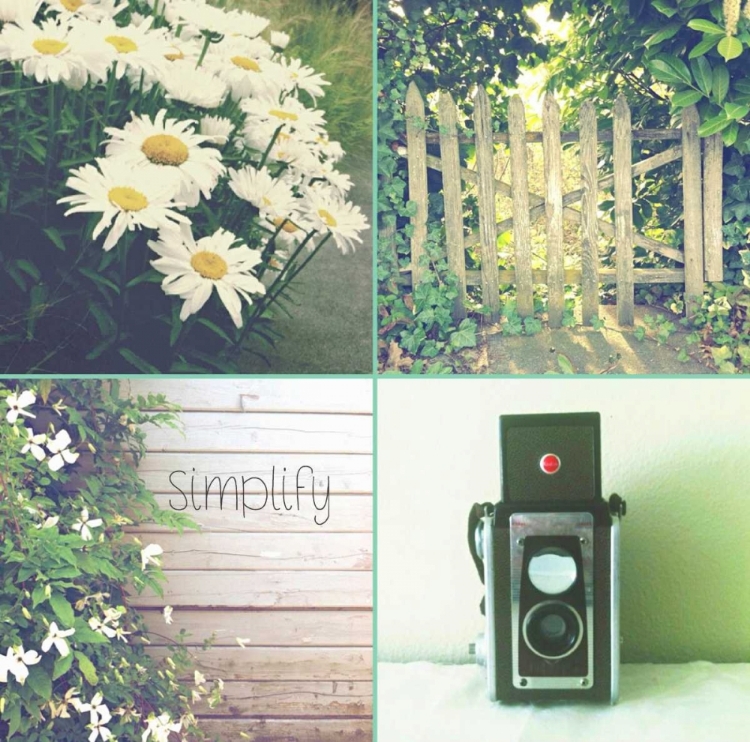 Picture of CAMERA AND DAISIES SIMPLIFY