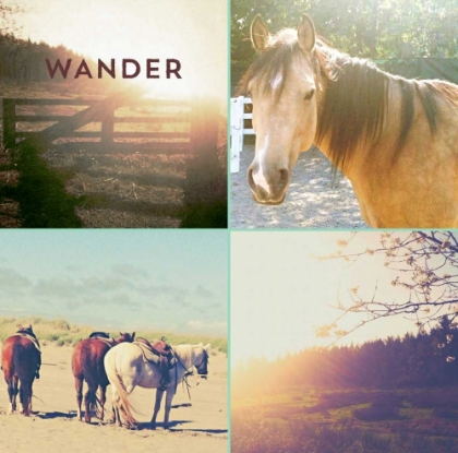 Picture of HORSES AND SUNBURST WANDER