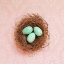 Picture of VINTAGE NEST ON PINK