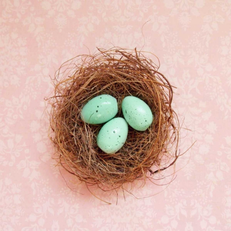 Picture of VINTAGE NEST ON PINK