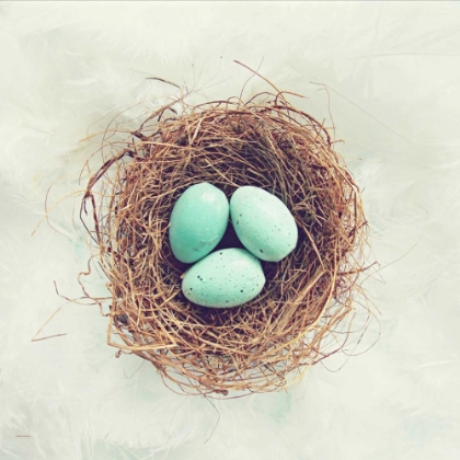 Picture of VINTAGE NEST OF FEATHERS