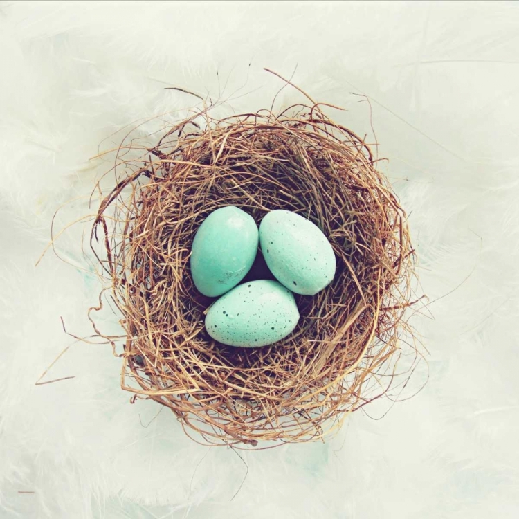 Picture of VINTAGE NEST OF FEATHERS