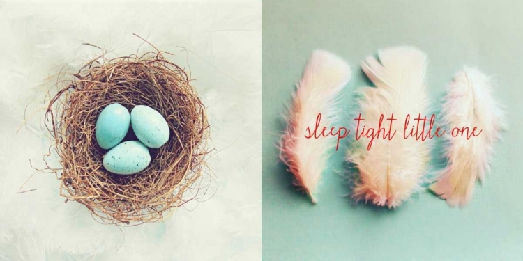 Picture of VINTAGE NEST OF FEATHERS