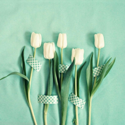 Picture of WHITE TULIPS TAPED