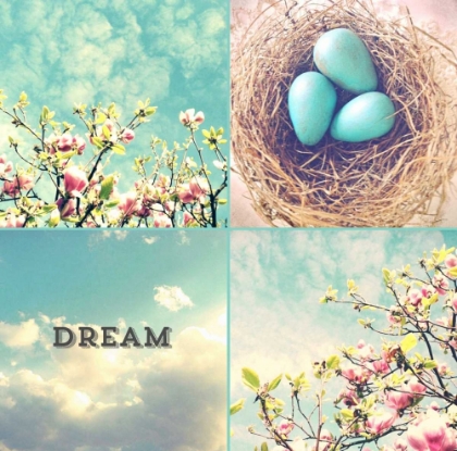 Picture of BLUE EGGS PINK BLOSSOMS DREAM