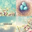 Picture of BLUE EGGS PINK BLOSSOMS DREAM